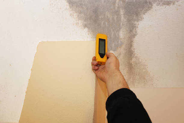 Forensic Mold Investigation in Delhi, CA