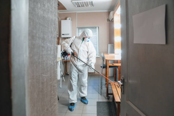 Best Real Estate Mold Inspection  in Delhi, CA