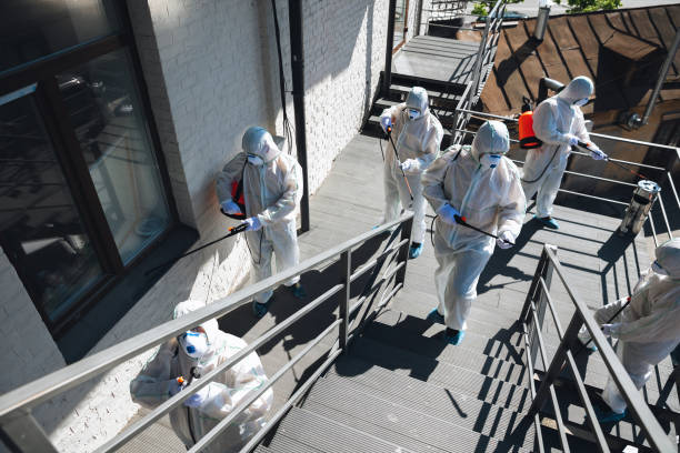 Best Residential Mold Inspection & Testing  in Delhi, CA