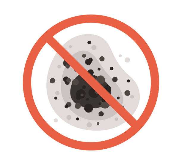 Best Black Mold Removal  in Delhi, CA