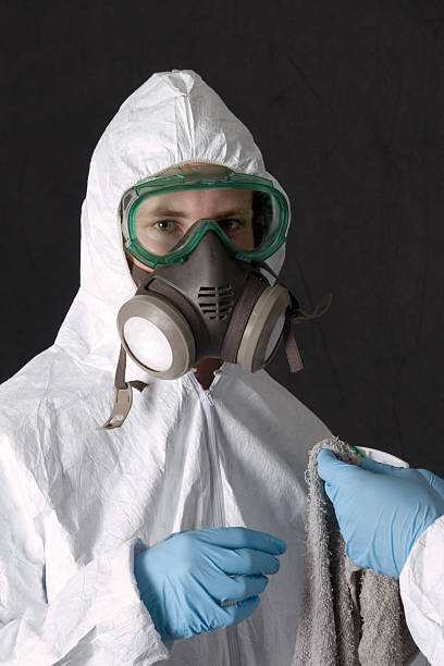  Delhi, CA Mold Removal Pros